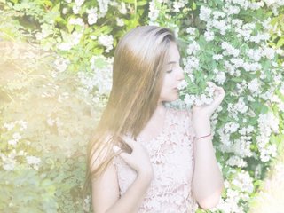 プロフィールの写真 Pink_Rose