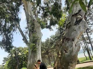 エロティックなビデオチャット PUPI-DEL-REY