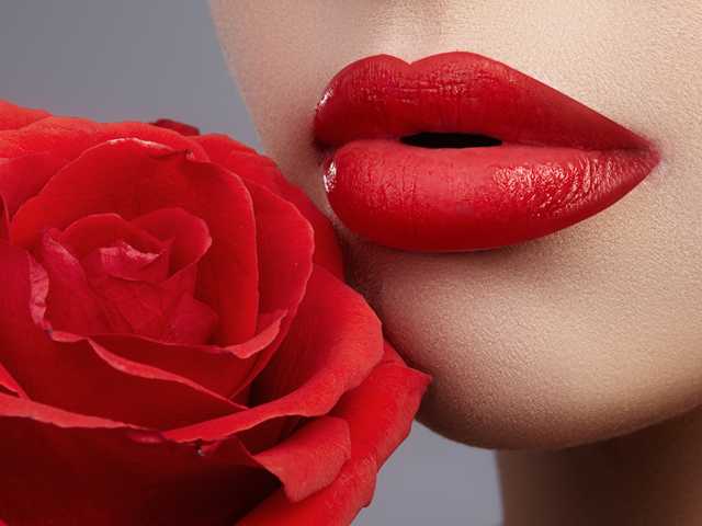 プロフィールの写真 Red-Rose-777