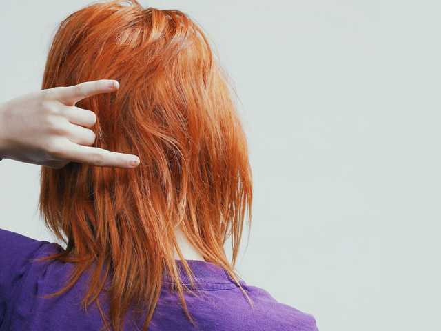 プロフィールの写真 RedBeast69