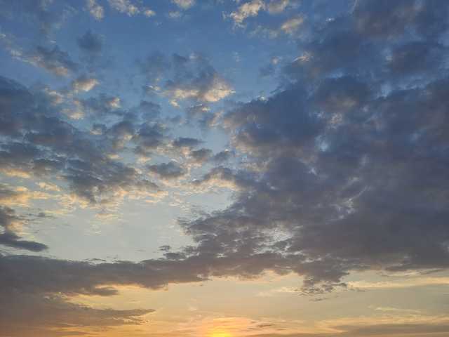 プロフィールの写真 onehumanbeing