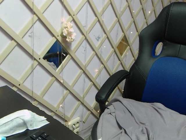 ブロードキャストスクリーンショット SelinaSwan