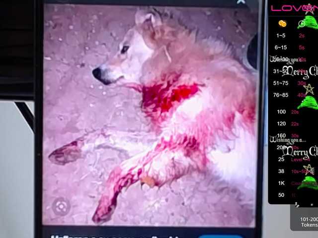 ブロードキャストスクリーンショット sofiaclaus