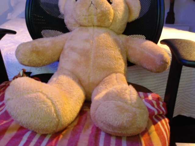 ブロードキャストスクリーンショット SofiaZapata