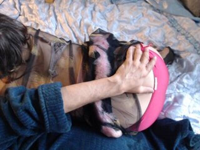 ブロードキャストスクリーンショット Masha_Ivanova