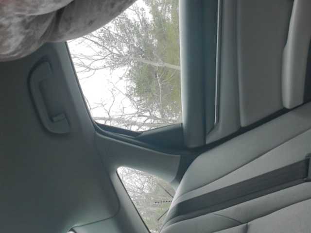 ブロードキャストスクリーンショット Sugarisme