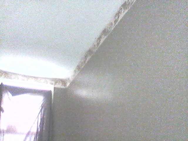 ブロードキャストスクリーンショット supa19kitty