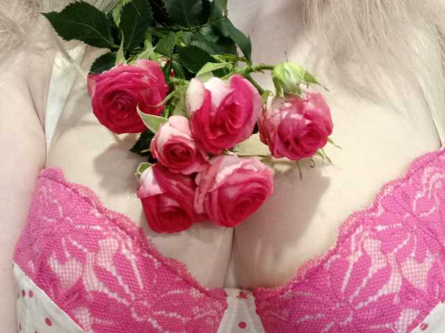 プロフィールの写真 SweetFox