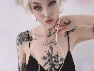 プロフィールの写真 SweetFox
