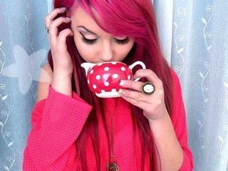 プロフィールの写真 SweetFox