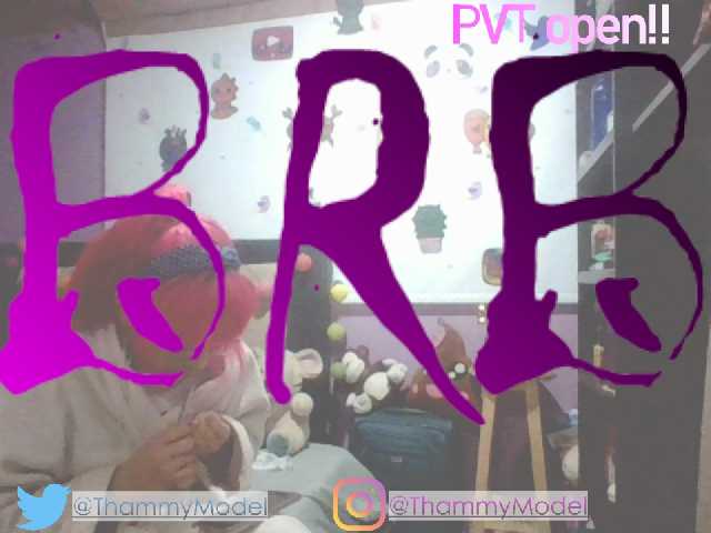 ブロードキャストスクリーンショット ThammyModell