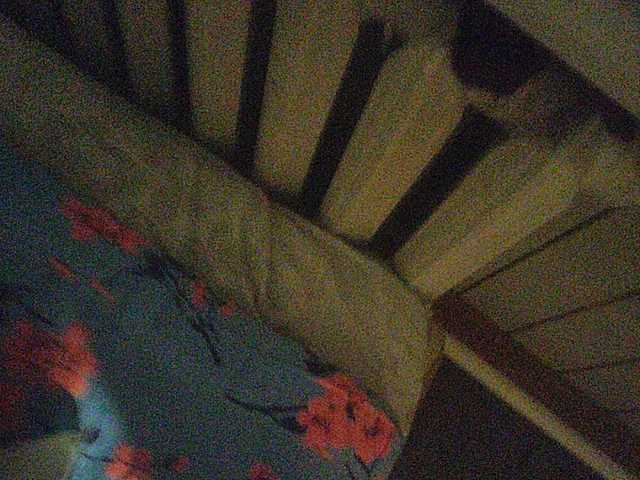 ブロードキャストスクリーンショット Twinssss