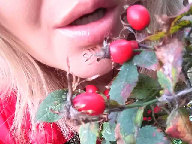 プロフィールの写真 1BECHA1