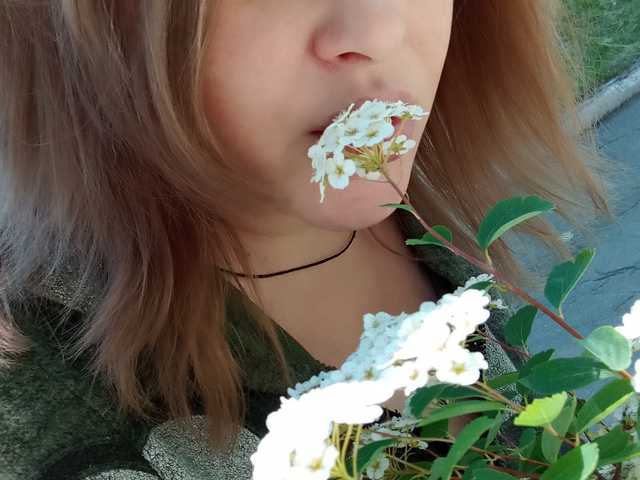 プロフィールの写真 1BECHA1