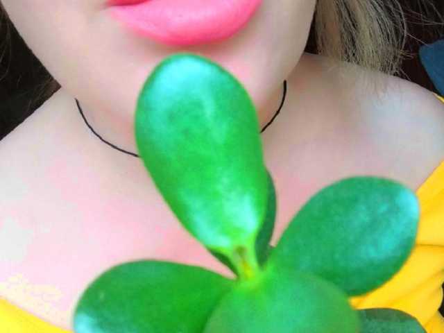 プロフィールの写真 1BECHA1