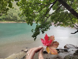 エロティックなビデオチャット _GoodGirl_