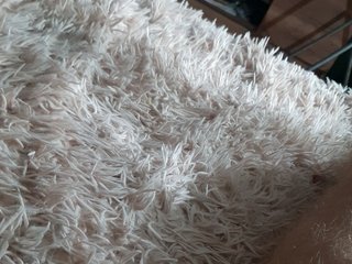エロティックなビデオチャット LLoveboy