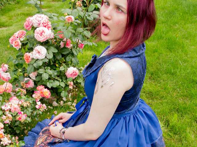 プロフィールの写真 wallmarta