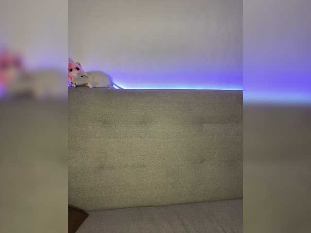 ブロードキャストスクリーンショット Wulka