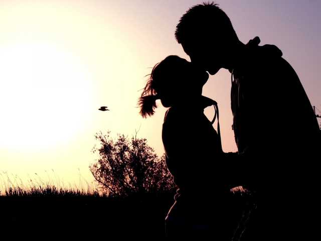 プロフィールの写真 xelete