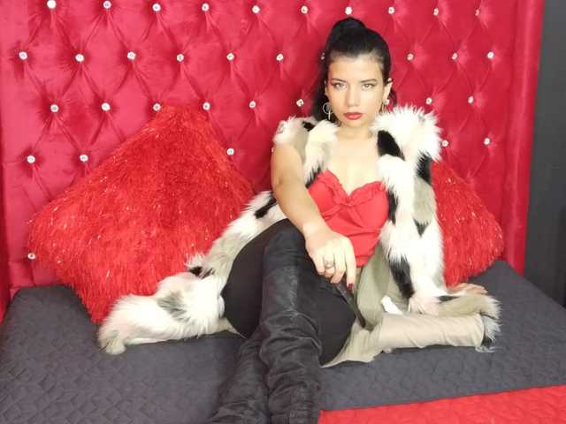 プロフィールの写真 zahara1111cat